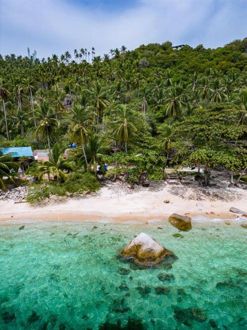 Bird Nest – Koh Tao